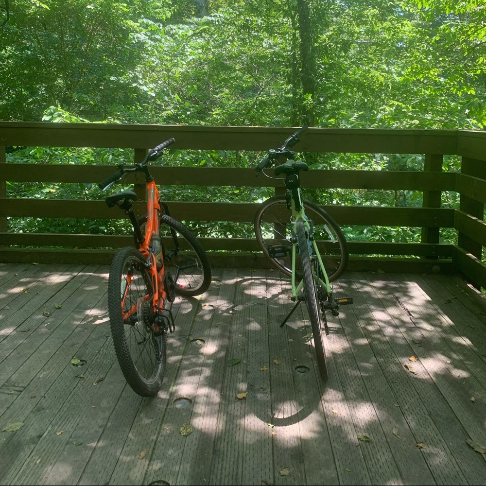 Meet your Posher, Cynthia